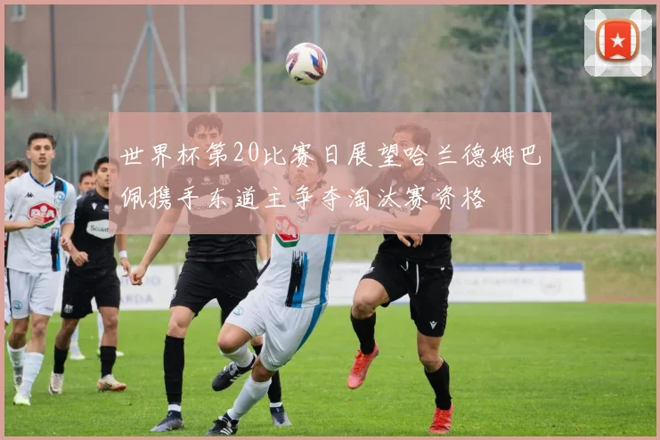 世界杯第20比赛日展望哈兰德姆巴佩携手东道主争夺淘汰赛资格