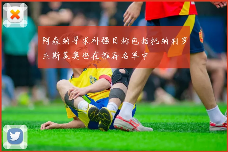 阿森纳寻求补强目标包括托纳利罗杰斯莱奥也在推荐名单中