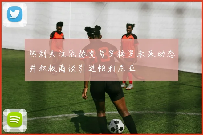 热刺关注范赫克与罗梅罗未来动态并积极商谈引进帕利尼亚